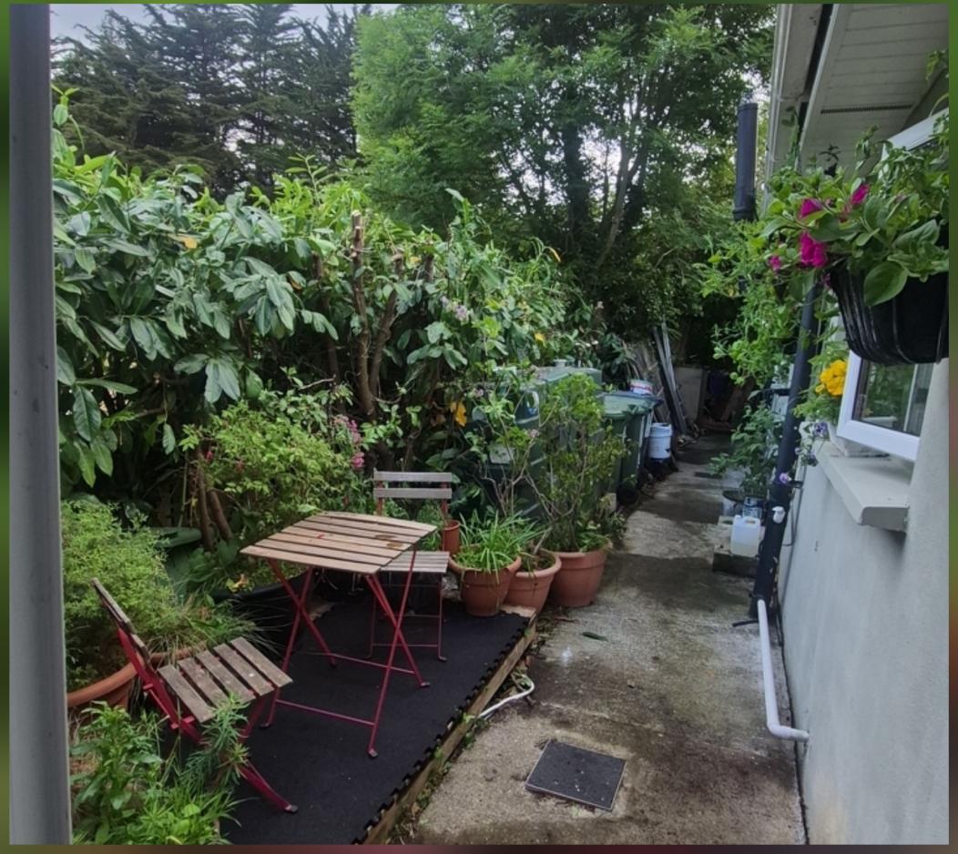 Overgrown Garden Cut-back after