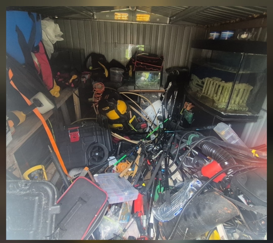 Shed Tidy-up & Organisation before